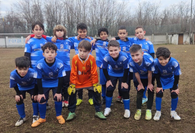 Pulcini 2015